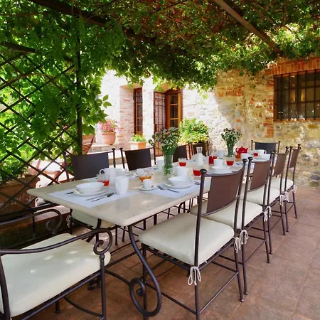 Vivaia - Arceno Club * San Gusme